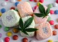 Cooking with Delta 8 THC: Delicious Recipes to Try