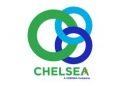 Dennis Uy’s Chelsea optimistic after narrowing losses in 2023