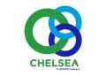 Chelsea Logistics swings to profit with P67.54 million Q2 net income