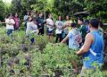 Farmers question TESDA capacity to train farmers