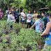 Farmers question TESDA capacity to train farmers