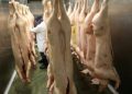 British pork imports seen sustained as PHL continues to deal with ASF
