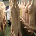British pork imports seen sustained as PHL continues to deal with ASF