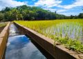 P1B eyed for Pampanga irrigation