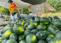First-quarter GDP growth revised upwards to 5.8%