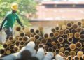 Bamboo pellets touted as sustainable fuel