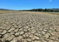 El Niño crop damage within acceptable parameters — DA