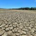 El Niño crop damage within acceptable parameters — DA