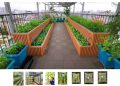 GVRenting Innovates Affordable Housing with Rooftop Hydroponics in Ho Chi Minh City