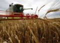 Biostimulants: Unveiling Their Role in Modern Agriculture