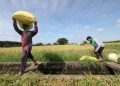 Legislators signal readiness to raise agri budget by P88 billion