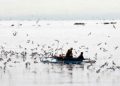 BFAR lifts fish ban in some areas