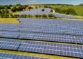 Labour eases planning rules to boost solar and wind farm development
