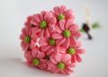 6 Steps to Guide you How to crochet a flower