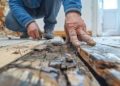 Construction Pest Control: How to Comply with Health and Safety Regulations