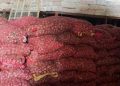 P5-billion fund to address gaps in food supply deemed ‘too small’