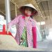 Vietnam to remain top rice supplier after India eases restrictions