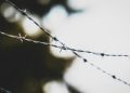 Early Martial Law and the legal struggle