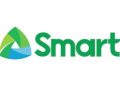 Smart directed to explain, fix service issues