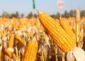Xanadu Agri touts improved yields with its liquid fertilizer