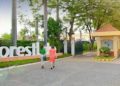Forest Lake ‘Paliwanag’ set to light up our view on memorial parks