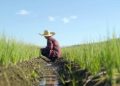 Cebu farmers make Jollibee their key market