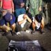 Duterte, friends face uphill battle after drug testimony