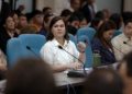 DSWD, DoH get budget hike