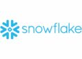 AI regulation should address PHL businesses’ concerns about security, privacy — Snowflake