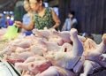 PHL chicken production seen rising 3.8% in 2025