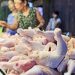 PHL chicken production seen rising 3.8% in 2025