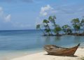 Discovering Andaman: A Complete Travel Guide for First-Time Visitors