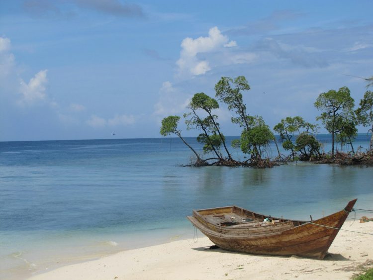 Discovering Andaman: A Complete Travel Guide for First-Time Visitors