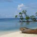 Discovering Andaman: A Complete Travel Guide for First-Time Visitors