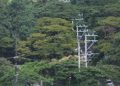 NEA likely to miss 2024 electrification target