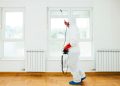 How rodent control can “help” your home