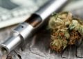 Green Innovation: How THC Startups Are Using Technology to Grow Exponentially