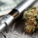 Green Innovation: How THC Startups Are Using Technology to Grow Exponentially