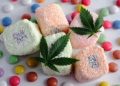 The Science Behind Feminised Cannabis Seeds: A Grower’s Guide