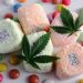 The Science Behind Feminised Cannabis Seeds: A Grower’s Guide
