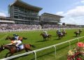 Horse Racing and Care – How Big Is the UK Market?