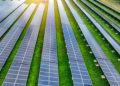 Tesco and Shell to power stores and EV stations with output from UK’s largest solar farm, originally meant for homes