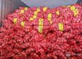 BoC seizes P2-M illegal onions