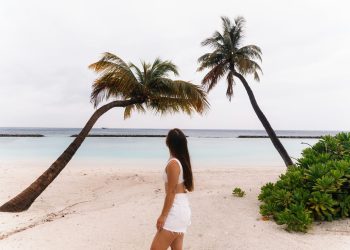 Baldwins Travel’s Approach to Sustainable and Responsible Travel: Leading the Way in Eco-Friendly Tourism