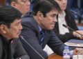 Tulfos are top senatorial bets for 2025 polls
