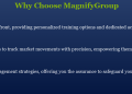 MagnifyGroup.com Review Dives Into Democratizing Global Investment Opportunities