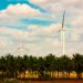 Alternergy to increase Tanay wind farm’s capacity to 128 MW