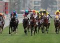 The Rise of Sports Betting: Market Trends and Business Opportunities