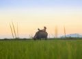 Agrarian Reform: The agriculture sector’s perennial bogeyman