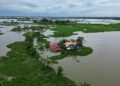 DA expects lower palay output this year due to bad weather